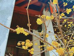 -香积寺