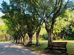 -深圳国际园林花卉博览园