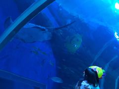 -成都浩海立方海洋公园