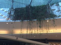 -36抹茶·千层与鲜果茶(欢乐海岸店)