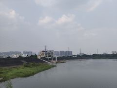 -立新湖公园
