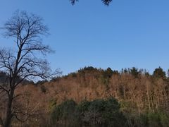 -阿哈湖国家湿地公园