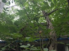 -白鹭湾湿地公园