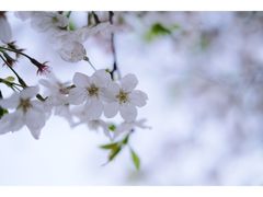 -南浦大桥长途旅游客运站