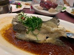-欢乐海岸美食联盟