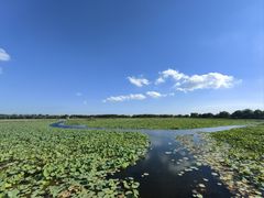 -焦岗湖旅游度假区