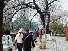 -成都市活水公园