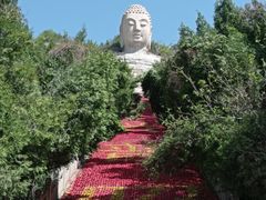 -蒙山大佛景区