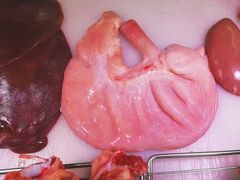 -阳江市第一市场