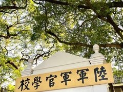 -长洲岛