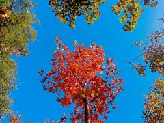 -北京十三陵国家森林公园蟒山景区