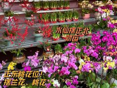 -天河体育中心
