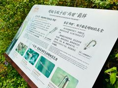 -香山公园