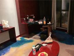 -常州环球恐龙城维景国际大酒店