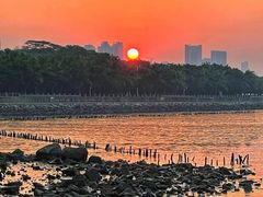 -深圳湾公园(南山区)