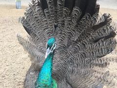 -韶关经律论国际酒店温泉