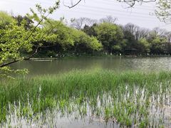 -八卦田遗址公园