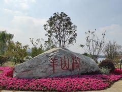 -羊山湖公园