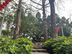 -荔湾湖公园