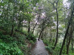 -南京老山国家森林公园