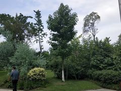 -成飞公园