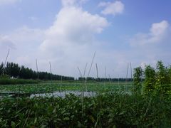 -白洋淀景区