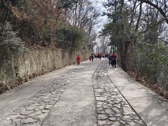 -紫金山山顶公园