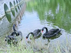 -长白岛森林公园