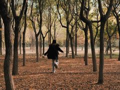 -永定河休闲森林公园