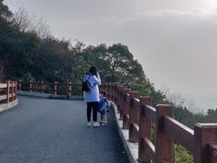 -杭州半山国家森林公园