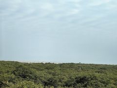 -红树林天天赶海