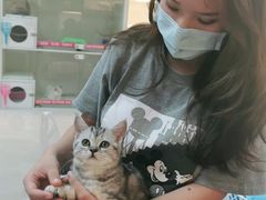 -lincat·猫舍(广州店)