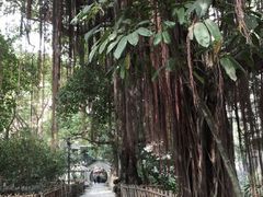 -小洲村