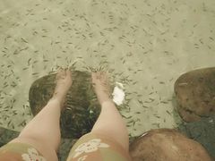 -御池园(顾村公园店)