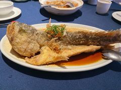 豉油糖东海黄鱼-南乡·广东顺德菜(苏宁广场B区店)