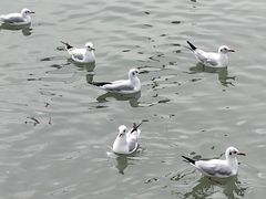 -蠡湖大桥公园