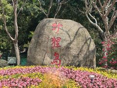 -野狸岛