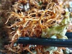 -马帮菜馆·美味野生菌