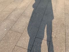 -金银湖国家城市湿地公园