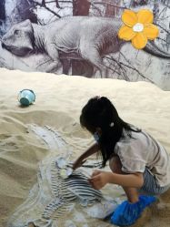 -恐龙探索乐园(磁器口店)