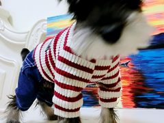 -爱派特动物医院·全科诊疗中心