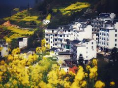 -石潭村