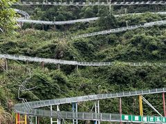 -长沙黑麋峰国家森林公园