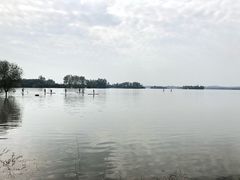 -三岔湖高家庄农家乐烤全羊柴火鸡翘壳鱼(三岔湖店)