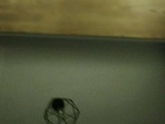 -珠海横琴长隆《卡卡虎奇遇记》