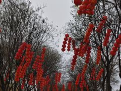-太原动物园