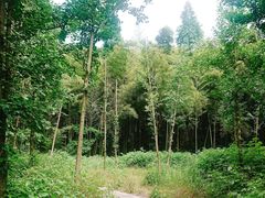 -天花井景区
