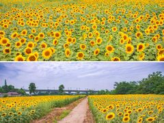 -关你鬼室大型密室逃脱(佛山创意园店)