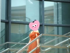 -Lafine Paris 法国兰斐婚纱礼服