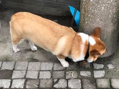 -阿木舂记·特色小吃(平江路店)